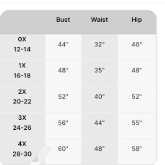 Livi Active women's size 3X or 26/28 black with V logo multi bright colors NWT - Picture 7 of 7